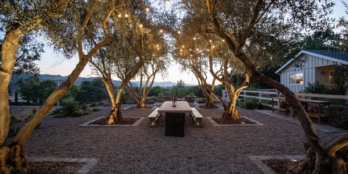 Beautiful outdoor landscaping with string lights illuminating an elegant dining area under mature trees, creating a warm and inviting backyard retreat.